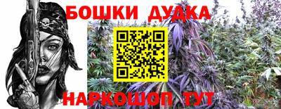 молекула духа Дубна
