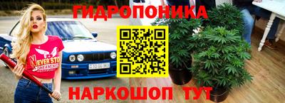 молекула духа Дубна