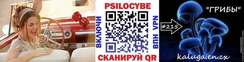Псилоцибиновые грибы GOLDEN TEACHER  дарнет шоп  Хасавюрт 