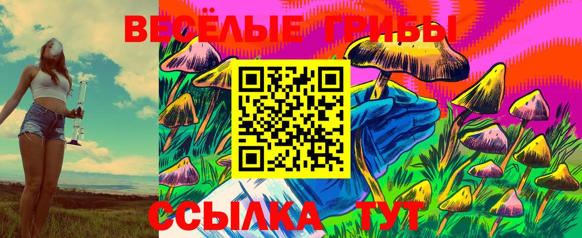 Галлюциногенные грибы Cubensis Хасавюрт
